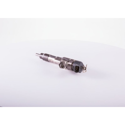 Einspritzdüse Bosch 0986435501 für Citroën Fiat Iveco Peugeot Renault