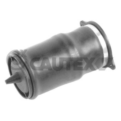 Luftfeder Fahrwerk Cautex 753217 für Mercedes Benz Mercedes Benz Mercedes Benz