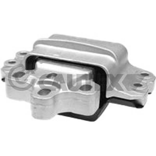 Lagerung Motor Cautex 774621 für Audi Vorderachse