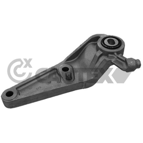 Lagerung Motor Cautex 755963 für Opel Hinten