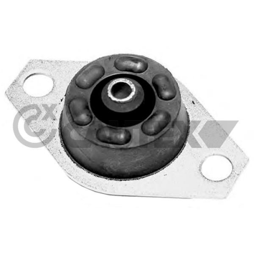 Lagerung Motor Cautex 755984 für Fiat Lancia Hinten