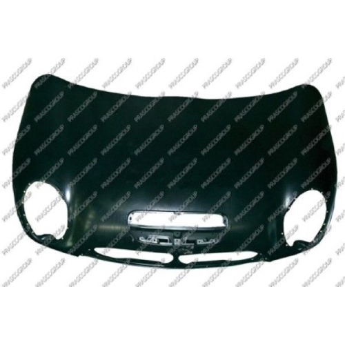 Motorhaube Prasco MN3043110 für Mini