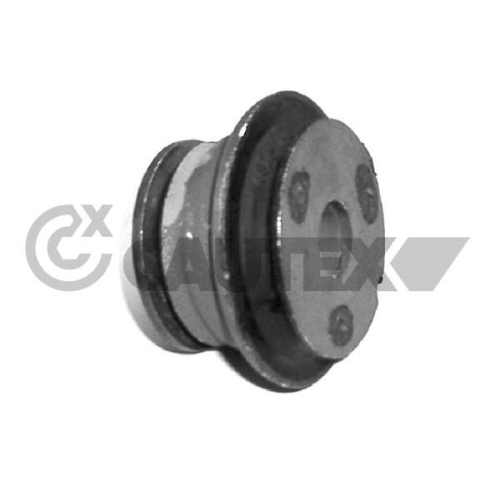 Lagerung Achskörper Cautex 010760 für Fiat Vorne