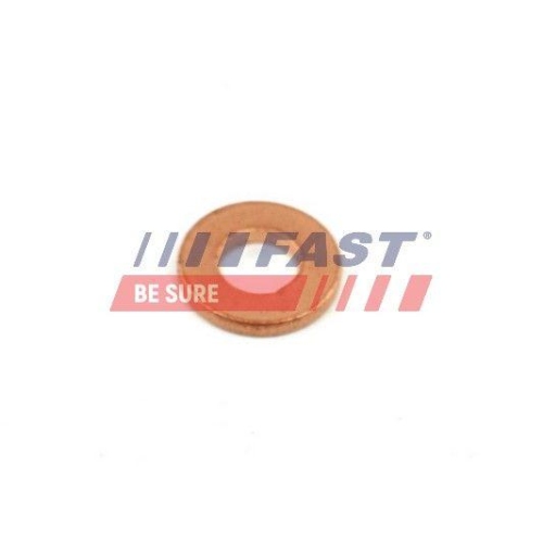 Dichtring Düsenhalter Fast FT49848 für Peugeot DS Rover Citroën Ford Fiat