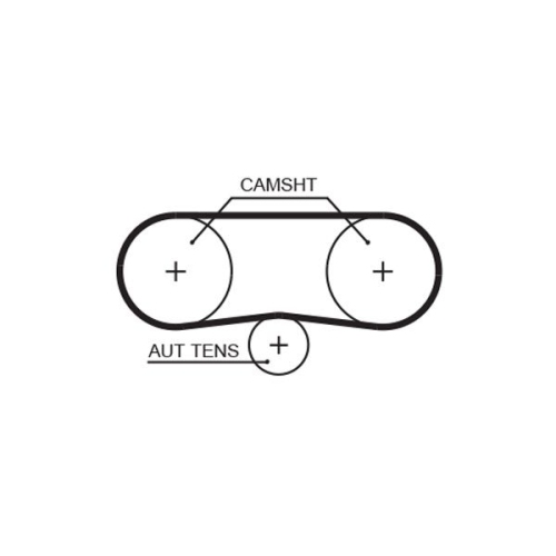Zahnriemen Gates 5516XS Powergrip® für Audi Seat Skoda VW Dana
