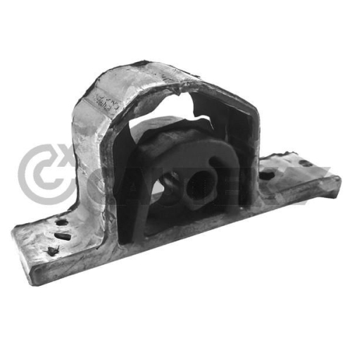 Halter Abgasanlage Cautex 756593 für Bmw Hinten