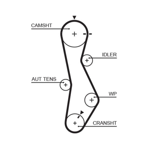 Zahnriemen Gates 5579XS Powergrip® für Hyundai Kia