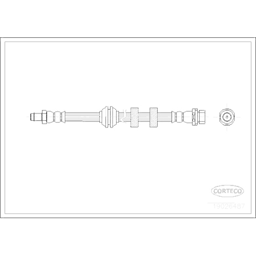 Bremsschlauch Corteco 19026487 für Ford Vorderachse Beidseitig