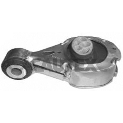 Lagerung Motor Cautex 756258 für Renault Vorne