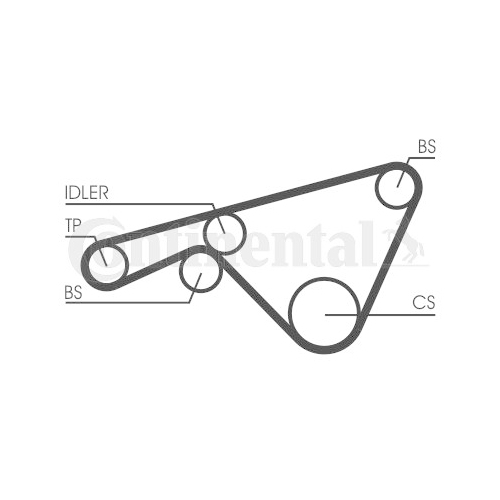 Zahnriemen Continental Ctam CT925 für Porsche