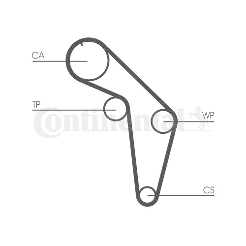 Zahnriemen Continental Ctam CT926 für Audi