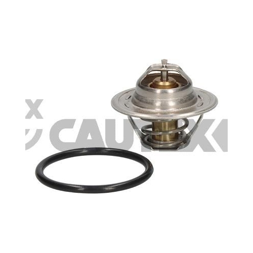 Thermostat Kühlmittel Cautex 770202 für Chrysler Citroën Opel Renault Vauxhall