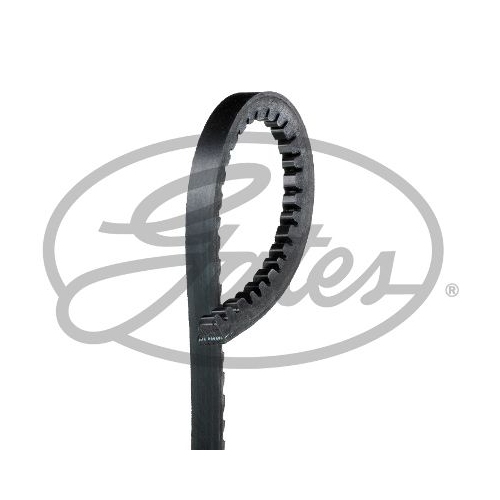 Keilriemen Gates AVX10x1375HD Fleetrunner™ V-belt für Bedford Buessing Chrysler