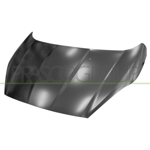 Motorhaube Prasco FD3463100 Premium für Ford