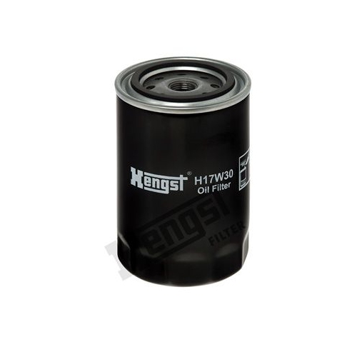 Oil Filter Hengst Filter H17W30 for Vag