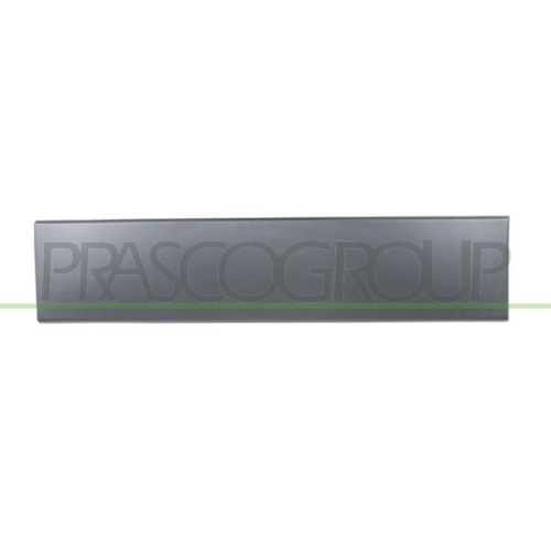 Zier /schutzleiste Tür Prasco FT9301458 für Fiat Hinten Links