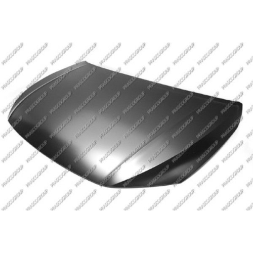 Motorhaube Prasco VG0253100 für VW