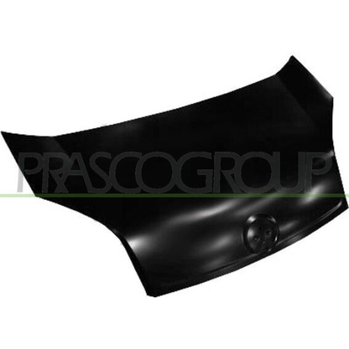 Motorhaube Prasco FT9073100 für Fiat