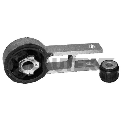 Lagerung Motor Cautex 011264 für Fiat Hinten