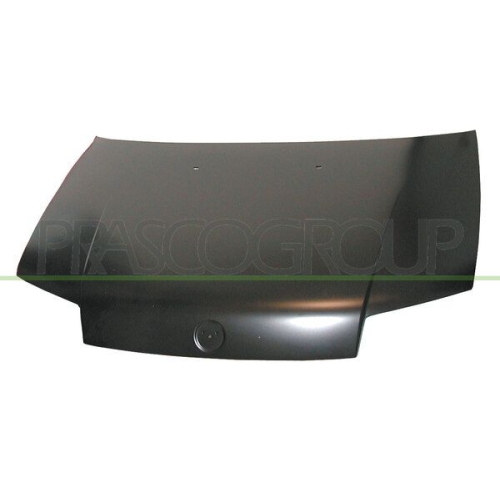 Motorhaube Prasco FT1333100 für Fiat