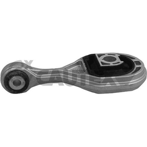 Lagerung Motor Cautex 759074 für Fiat Hinten