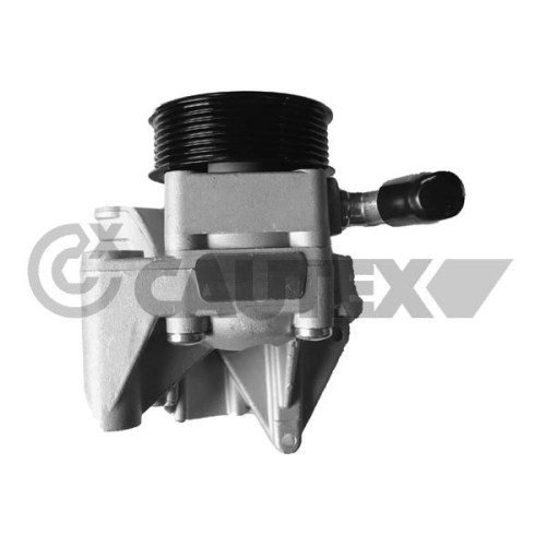 Hydraulikpumpe Lenkung Cautex 768326 für Fiat