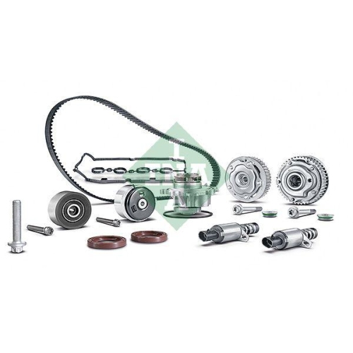 Nockenwellenverstellersatz Schaeffler Ina 560 0001 10 Ina Engine Kit für Fiat