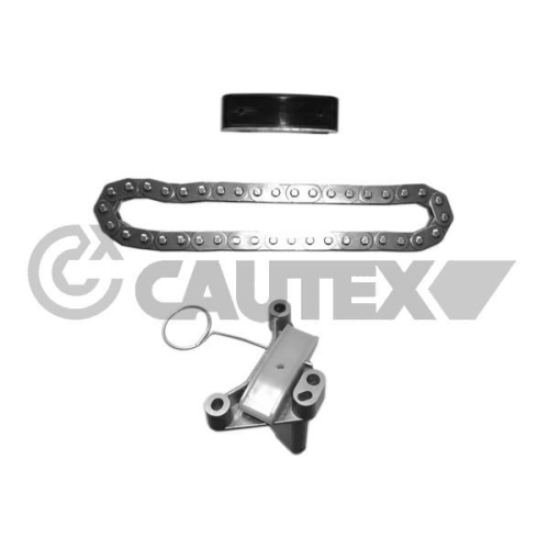 Steuerkettensatz Cautex 752108 für Citroën Fiat Ford Lancia Peugeot Volvo