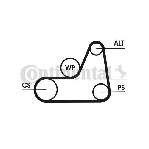 Keilrippenriemensatz Continental Ctam 6PK1042ELASTT1 für Ford