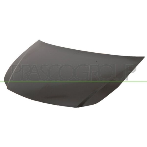 Motorhaube Prasco FT3603100 für Fiat