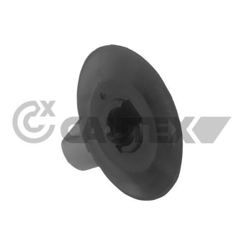 Clip Zier /schutzleiste Cautex 751059 für Renault Dacia