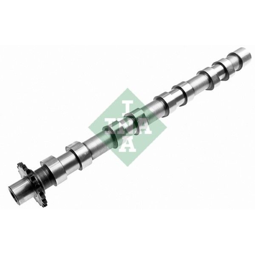 Nockenwelle Ina 428 0160 10 für Citroën Fiat Ford Peugeot Volvo Einlassseite