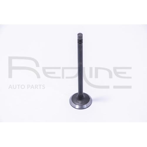 Einlassventil Red-line 15NI038 für Ford Nissan Opel Renault Vauxhall