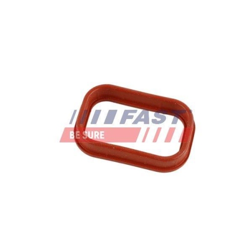 Dichtung Ansaugkrümmer Fast FT49435 für Ford Usa DS Mazda Citroën Fiat Jaguar