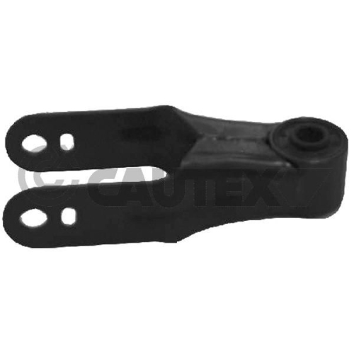 Lagerung Motor Cautex 031255 für Citroën Peugeot Hinten