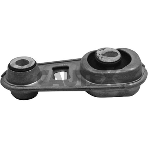 Lagerung Motor Cautex 759106 für Nissan Hinten