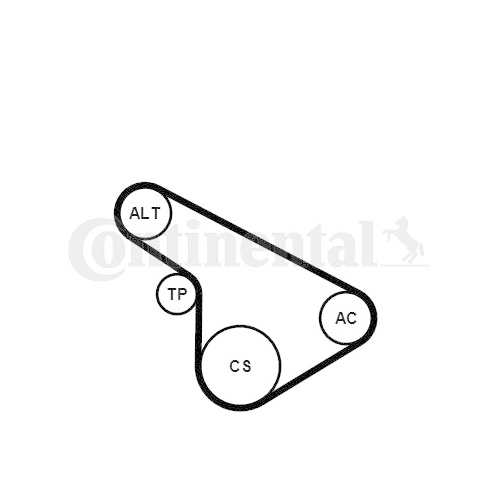 Keilrippenriemensatz Continental Ctam 5PK1212K1 für