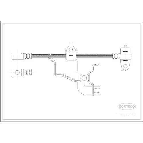 Bremsschlauch Corteco 19032982 für Ford Vorderachse Rechts