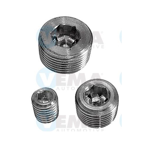 Screw Plug Crankcase Vema 3256 for