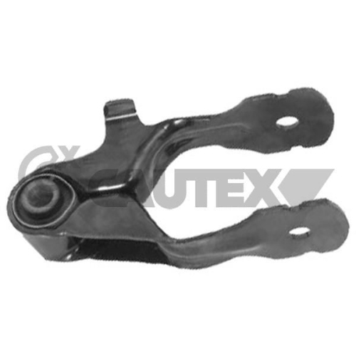 Lagerung Motor Cautex 031698 für Citroën Peugeot Hinten