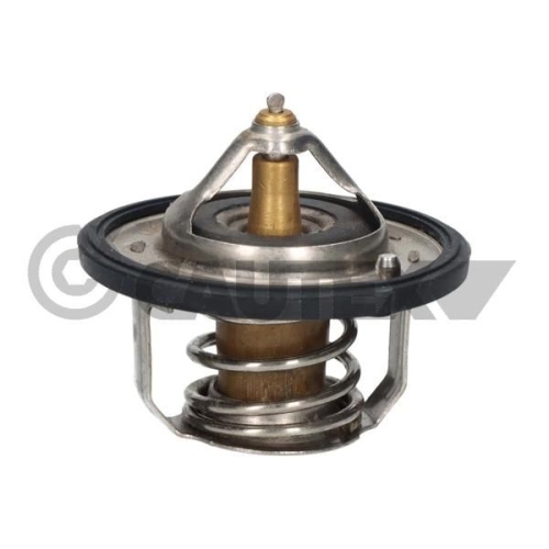 Thermostat Kühlmittel Cautex 756878 für Nissan Renault Hyundai Kia