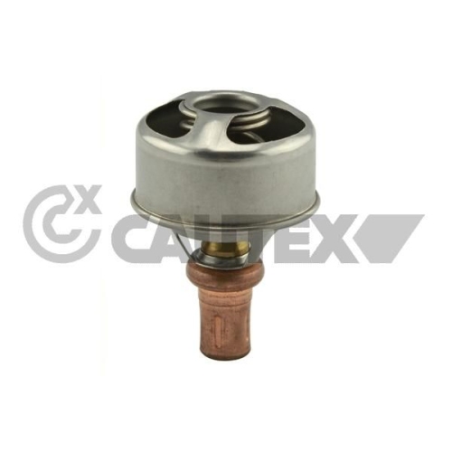 Thermostat Kühlmittel Cautex 756904 für Ford Renault