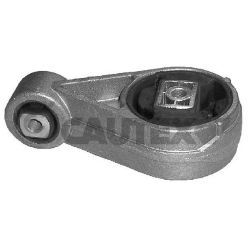 Lagerung Motor Cautex 080224 für Ford Ford Usa Hinten