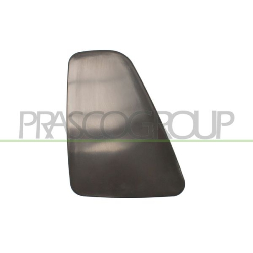 Zierblende Schlussleuchte Prasco FT0322164 für Fiat Links