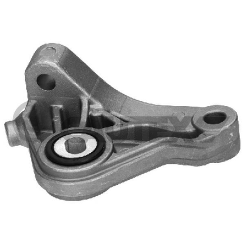 Lagerung Motor Cautex 771601 für Opel Hinten