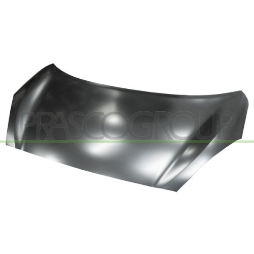 Motorhaube Prasco DS0153100 für Nissan