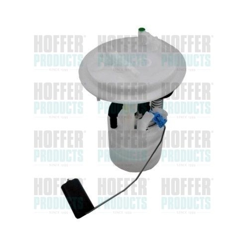 Unité D'injection De Carburant Hoffer 7507752 pour Citroën