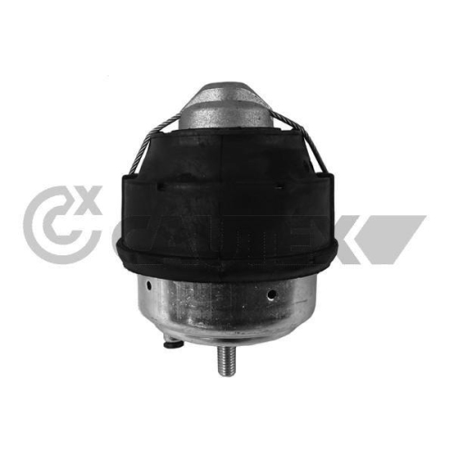 Lagerung Motor Cautex 250063 für Volvo Vorne