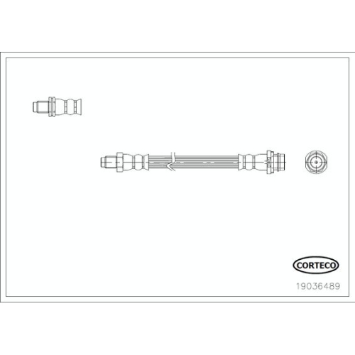 Bremsschlauch Corteco 19036489 für Volvo Hinterachse