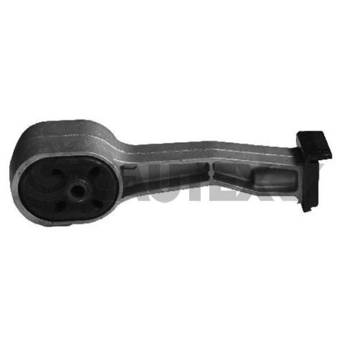 Lagerung Motor Cautex 461081 für Ford Seat VW Hinten